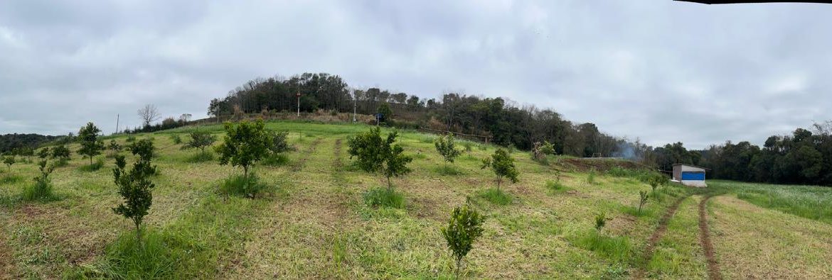 IMG-20250805-WA0115