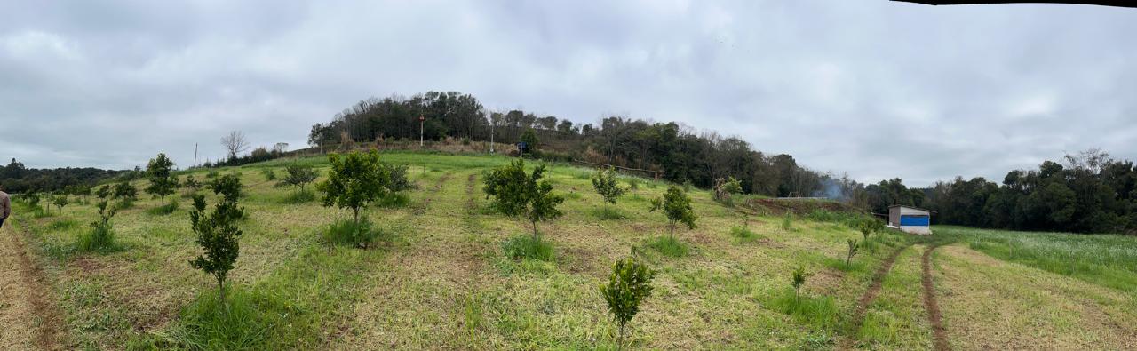 IMG-20250805-WA0115
