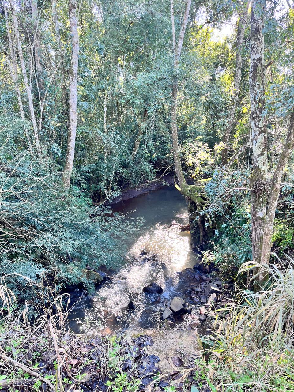 IMG-20250703-WA0042
