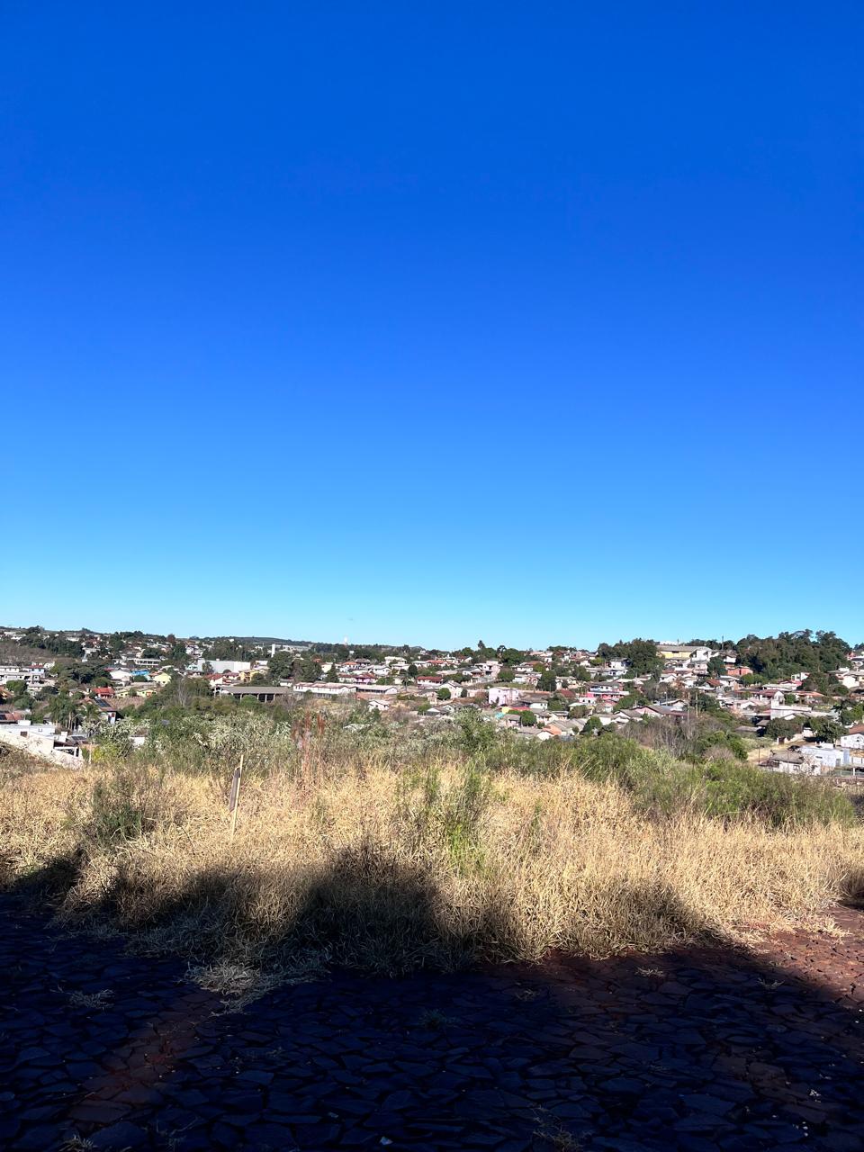 IMG-20250704-WA0059