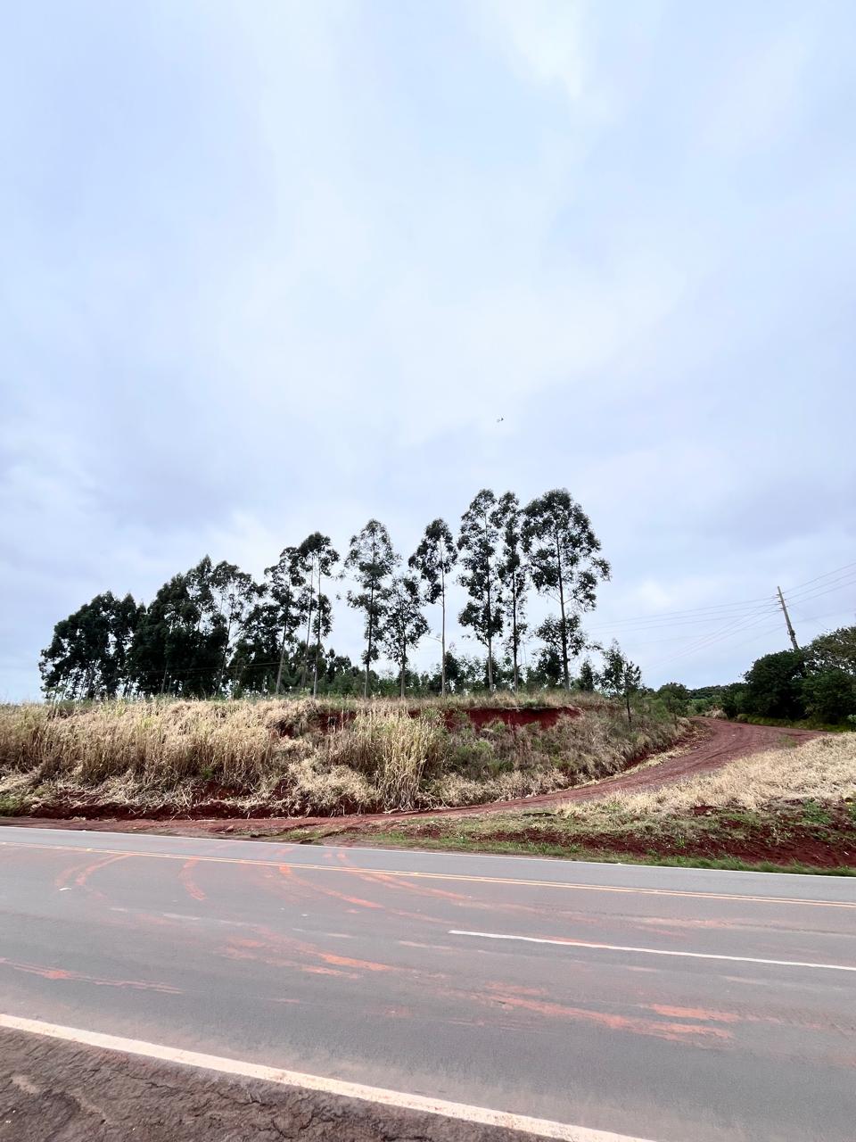 IMG-20250805-WA0083