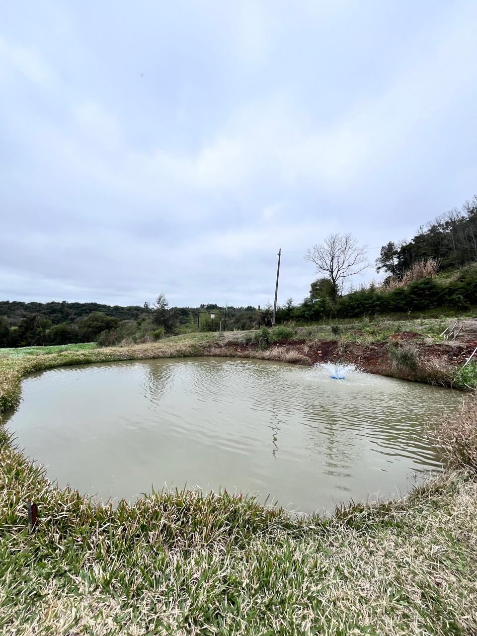 IMG-20250805-WA0117