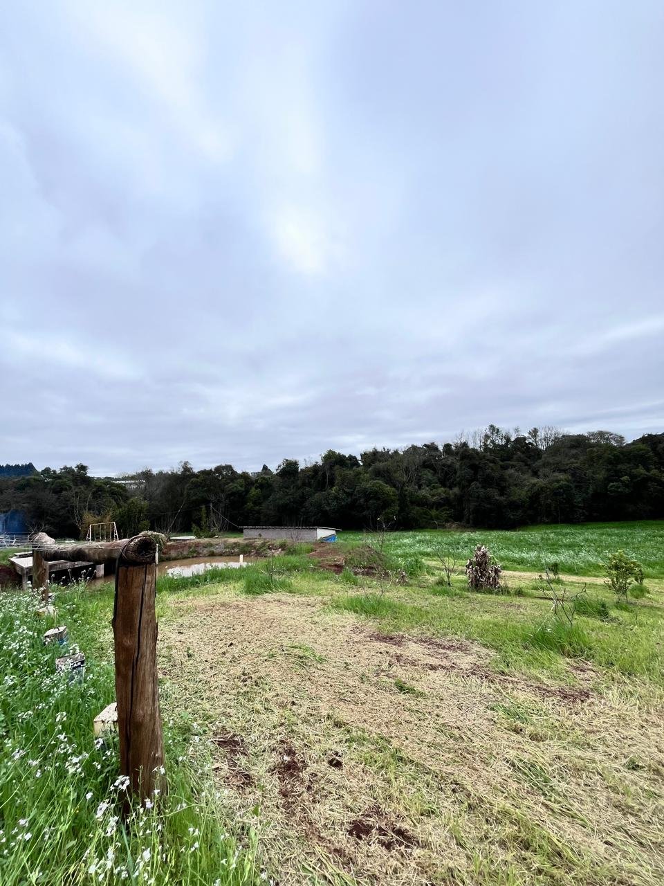 IMG-20250805-WA0125