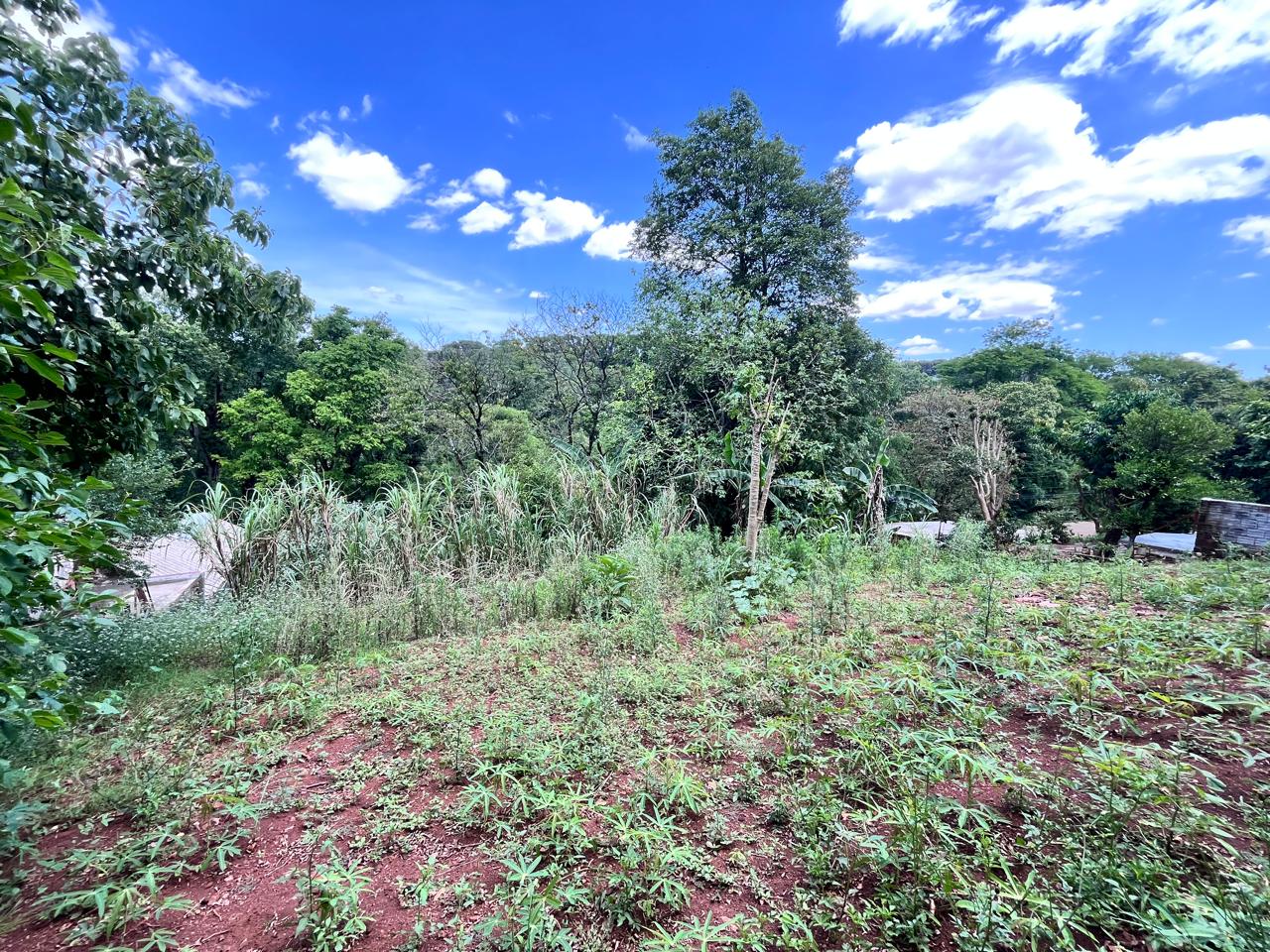 PHOTO-2025-11-25-16-40-19-5