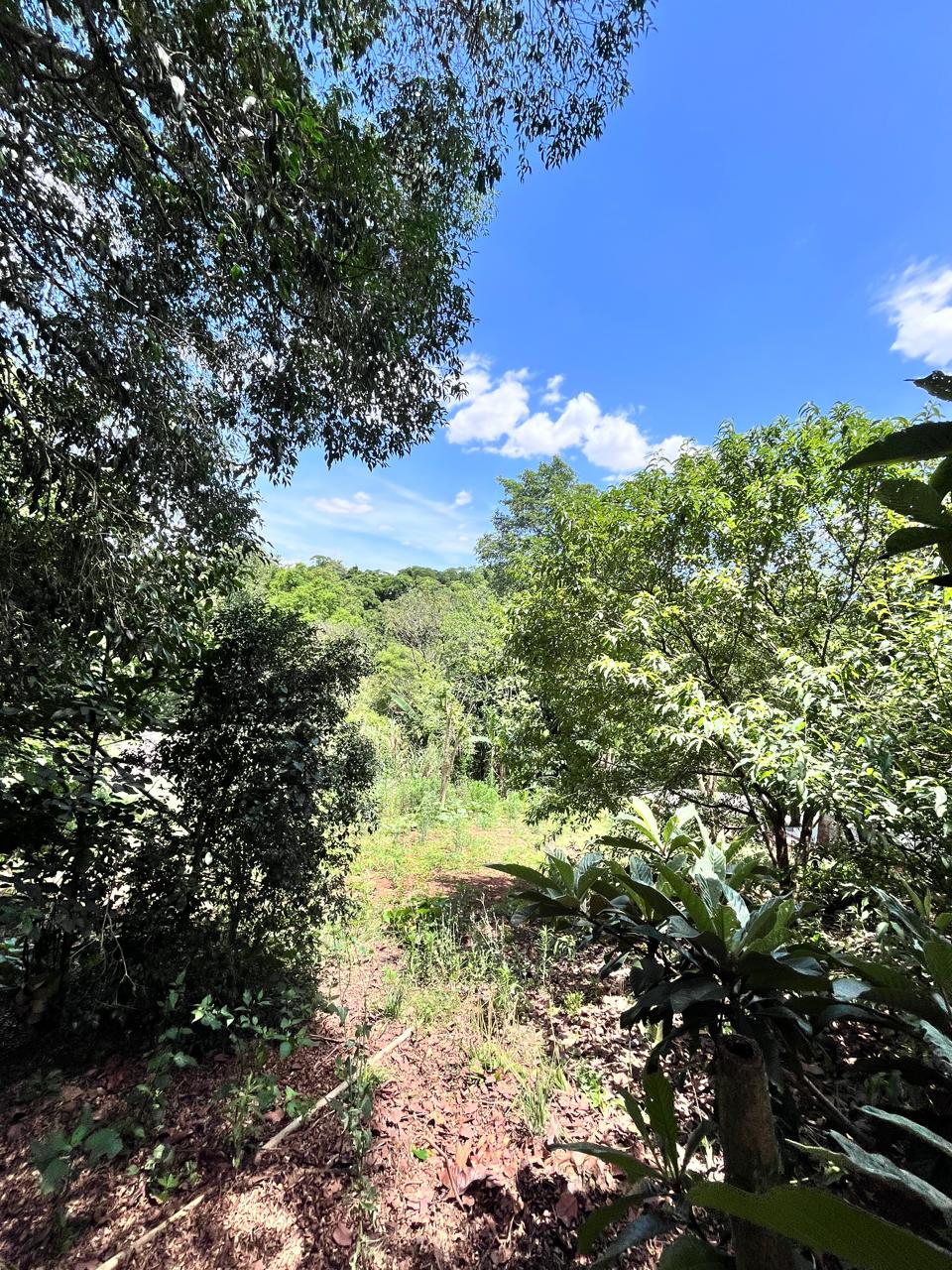 PHOTO-2025-11-25-16-40-19