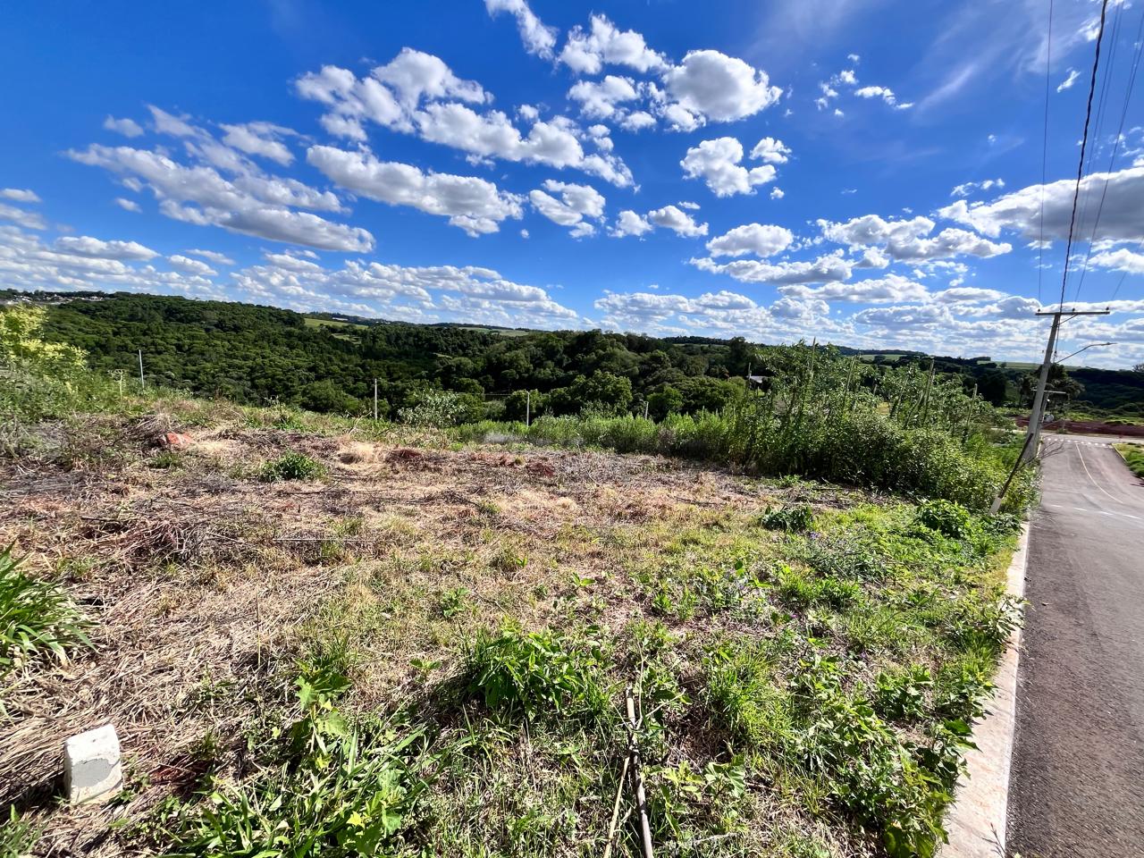 WhatsApp-Image-2025-12-17-at-11.38.23-1