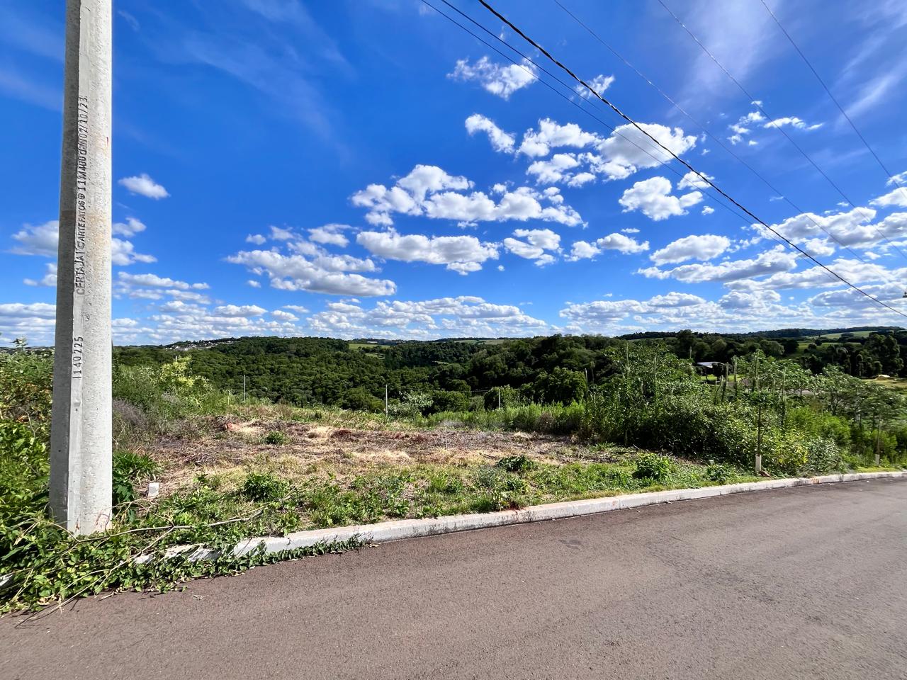 WhatsApp-Image-2025-12-17-at-11.38.23