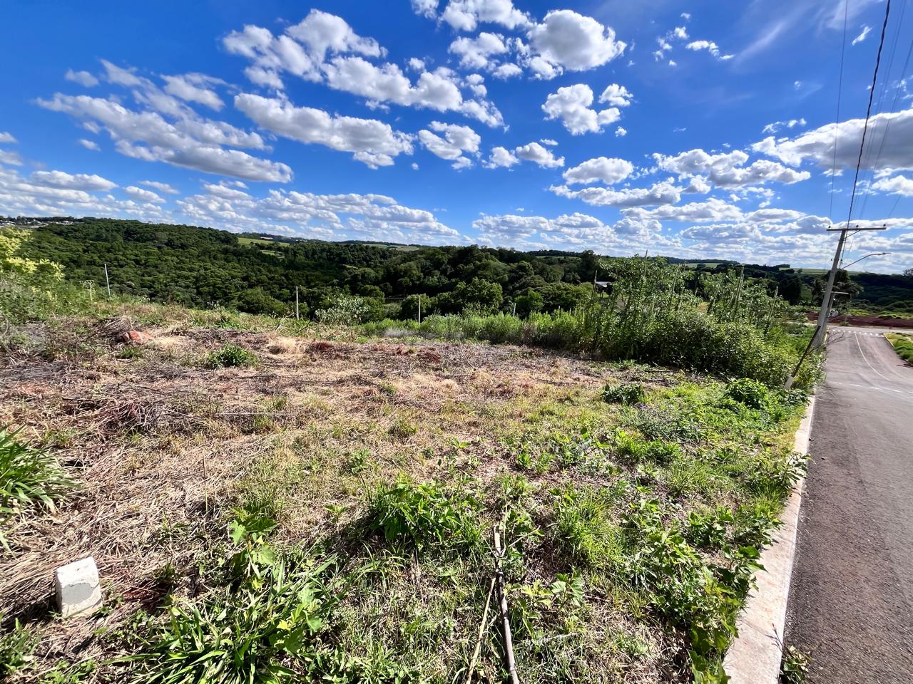 WhatsApp-Image-2025-12-17-at-11.38.24