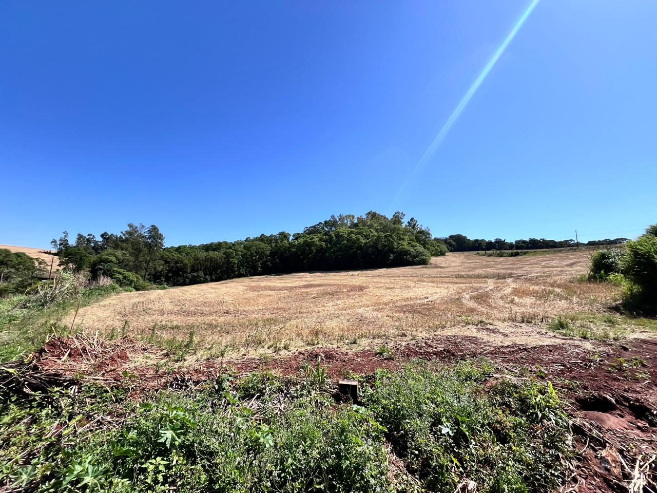 WhatsApp-Image-2026-01-23-at-11.00.57