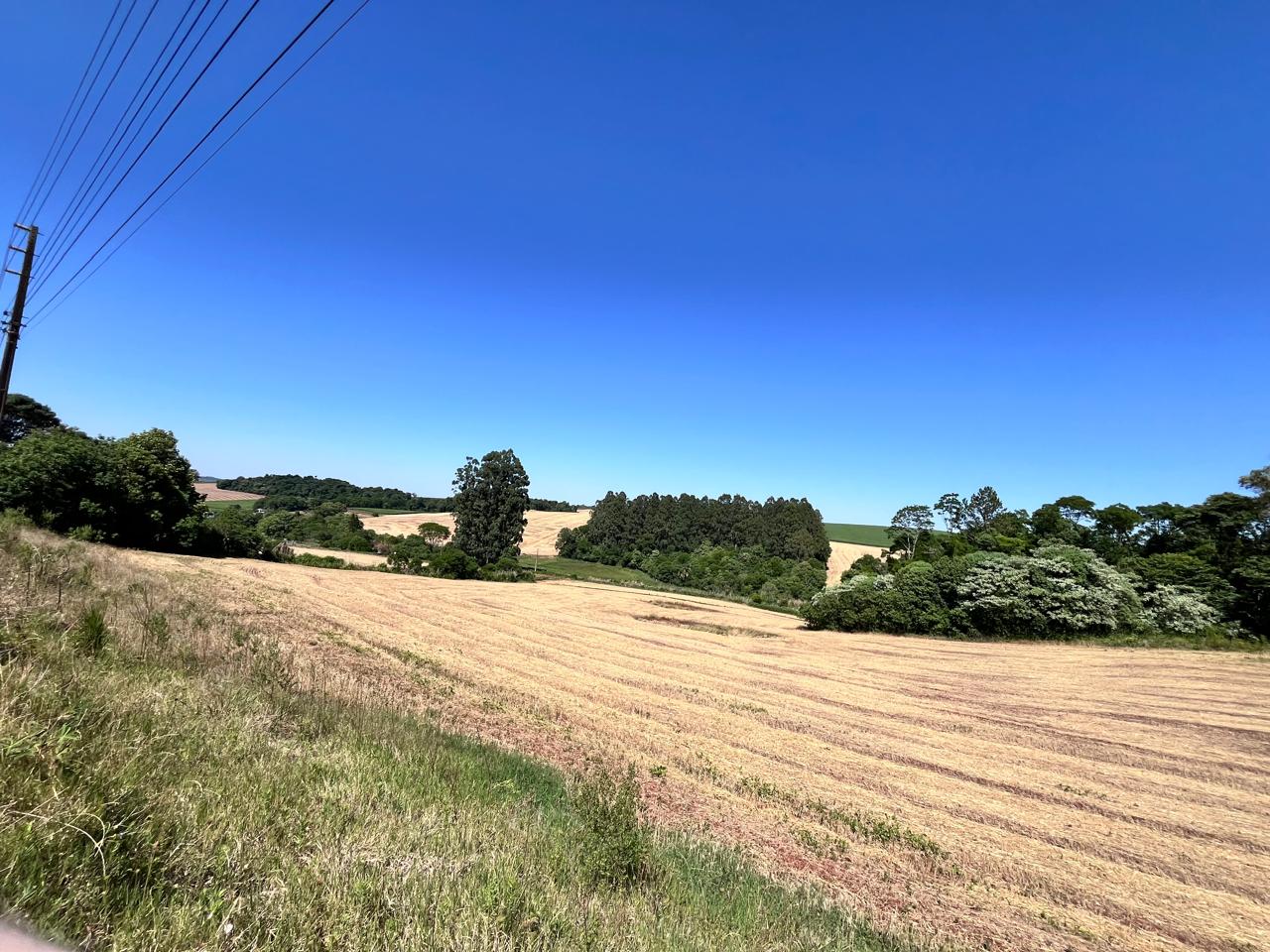 WhatsApp-Image-2026-01-23-at-11.00.58-1