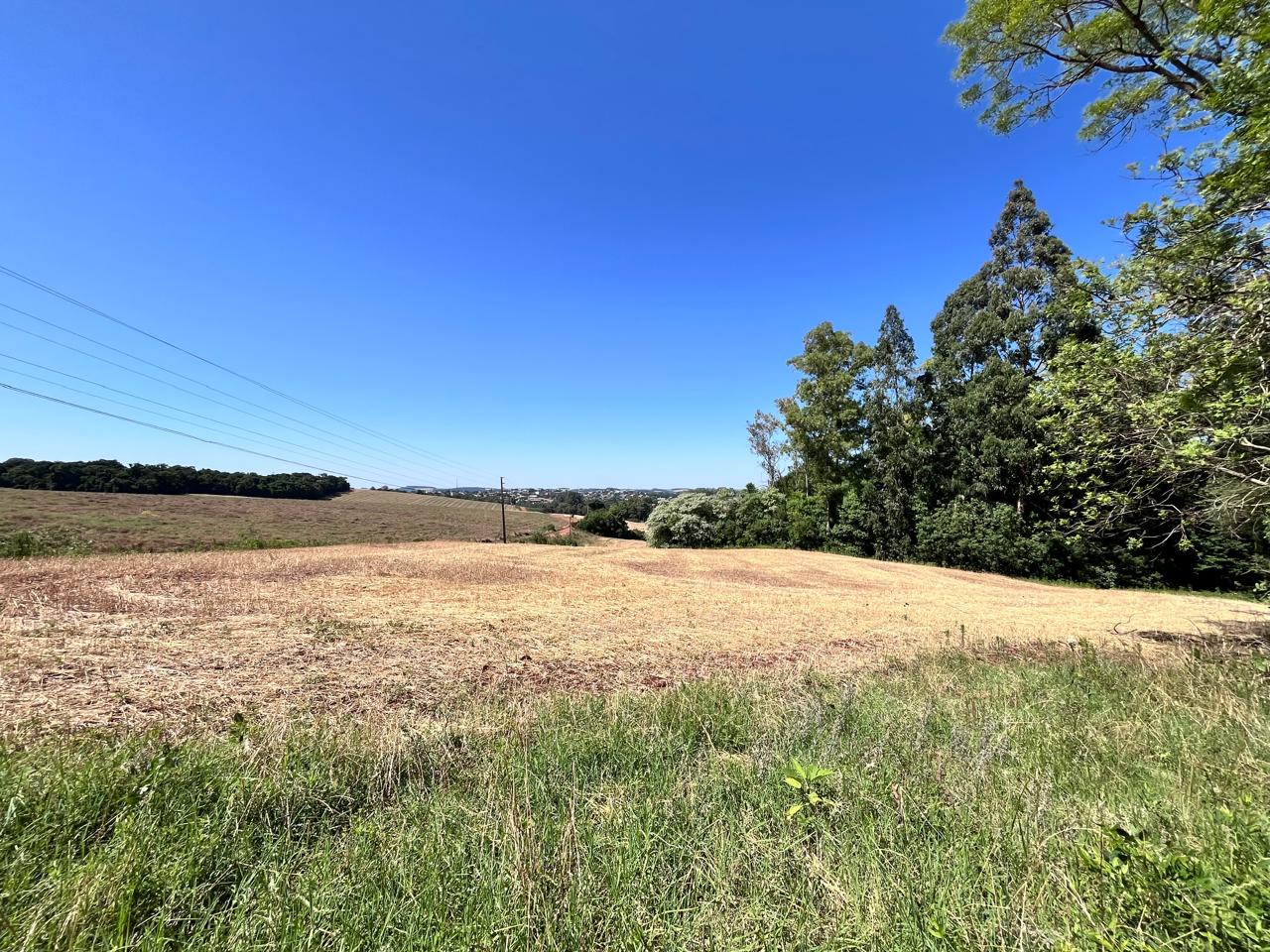 WhatsApp-Image-2026-01-23-at-11.00.58-2