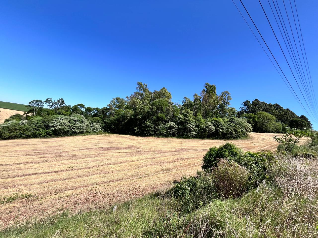 WhatsApp-Image-2026-01-23-at-11.00.58