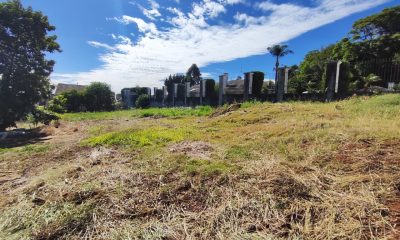Terreno Colina do Bosque – Érica