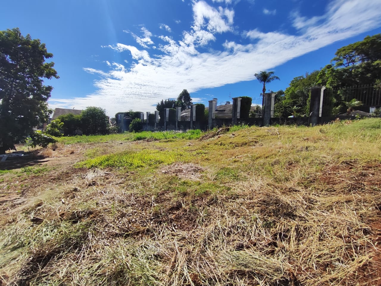 WhatsApp-Image-2025-12-03-at-17.05.28-1