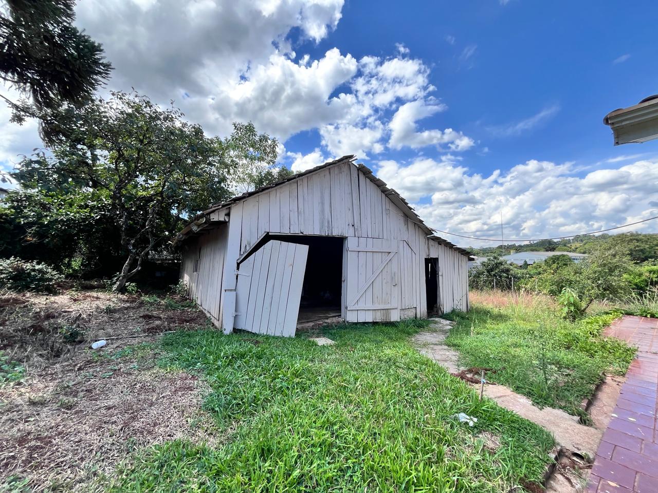 WhatsApp-Image-2026-02-03-at-17.15.04-11