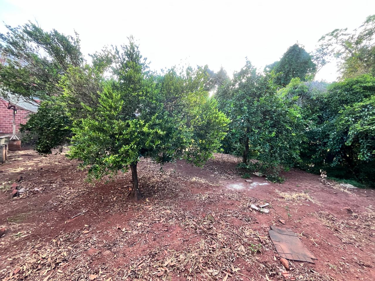 WhatsApp-Image-2026-02-06-at-11.45.48-2