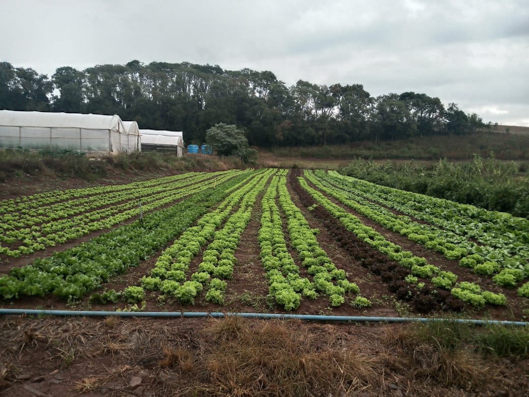 WhatsApp-Image-2026-02-17-at-10.06.18-1