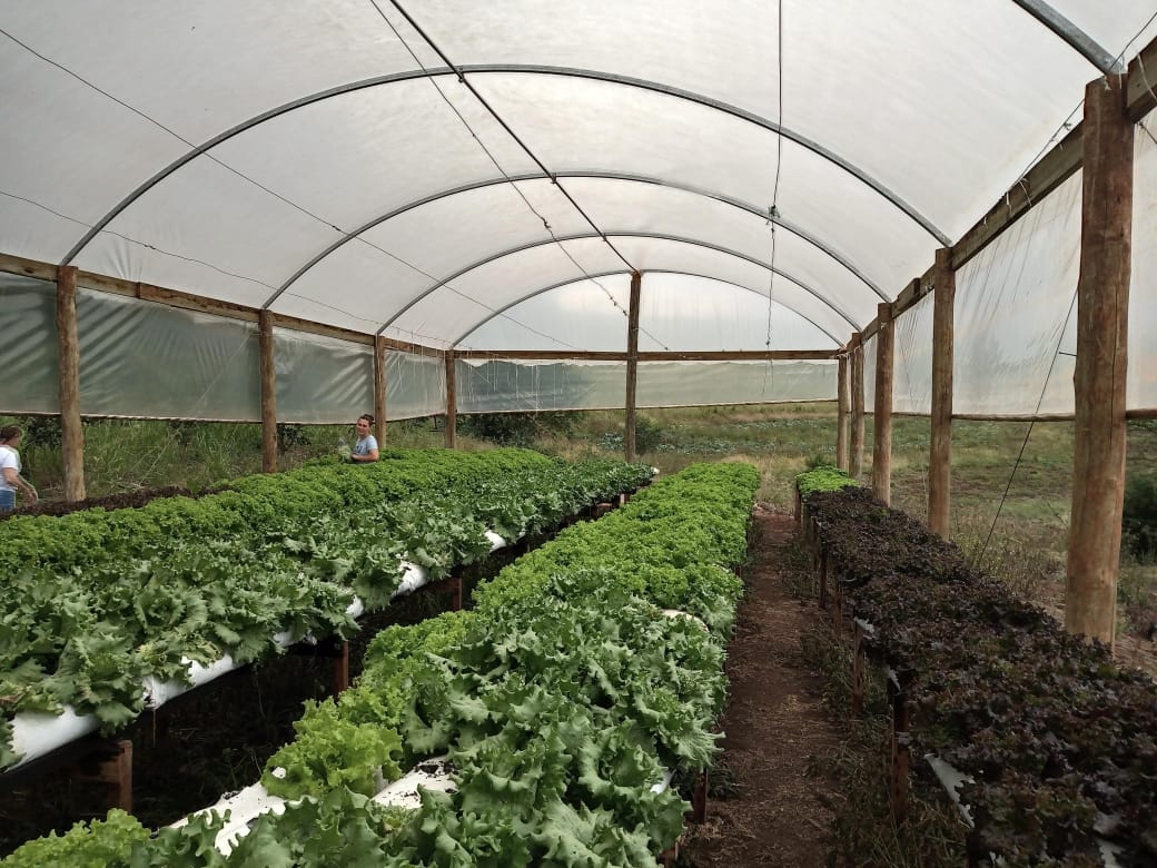 WhatsApp-Image-2026-02-17-at-10.06.18-3