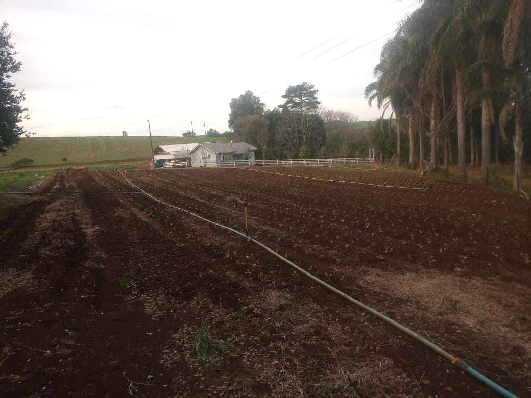 WhatsApp-Image-2026-02-17-at-10.06.18