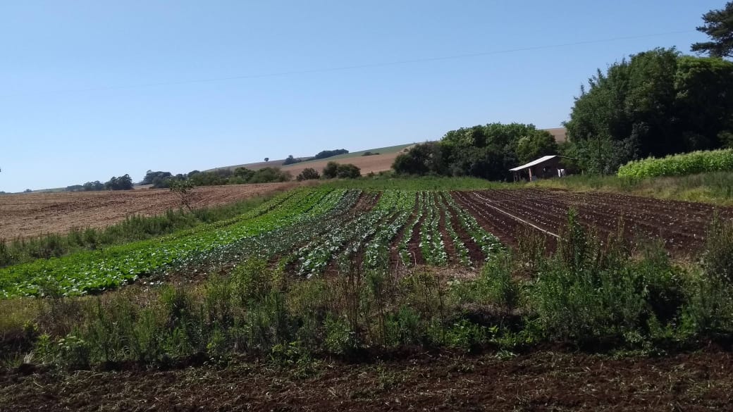 WhatsApp-Image-2026-02-17-at-10.06.19-1