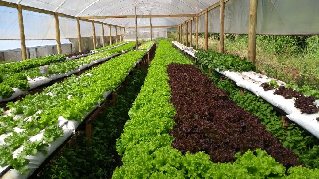 WhatsApp-Image-2026-02-17-at-10.06.19-2