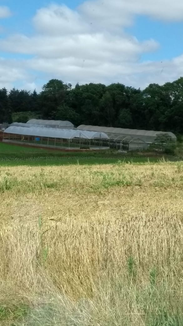 WhatsApp-Image-2026-02-17-at-10.06.19-3