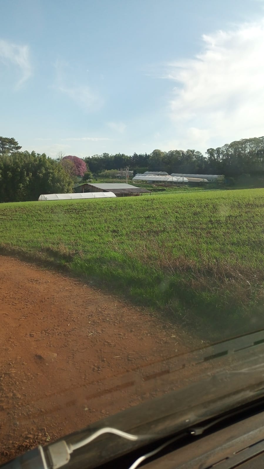 WhatsApp-Image-2026-02-17-at-10.06.19-4