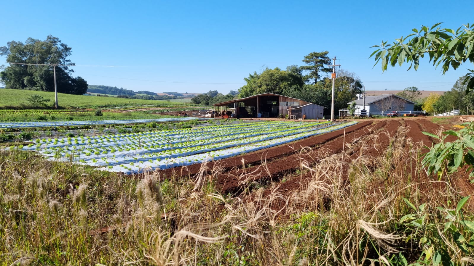 WhatsApp-Image-2026-02-17-at-10.06.20-1