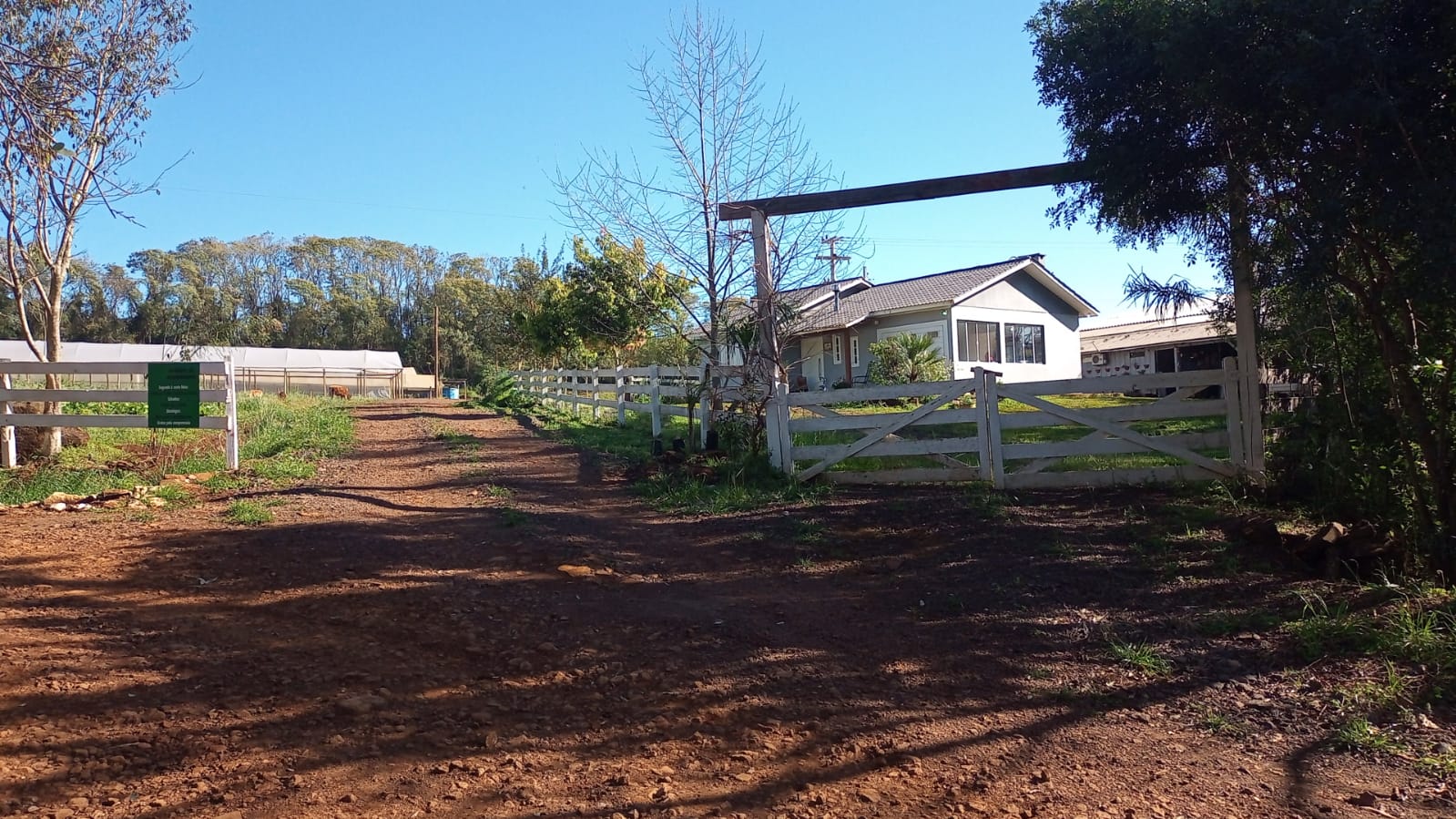 WhatsApp-Image-2026-02-17-at-10.06.21-1