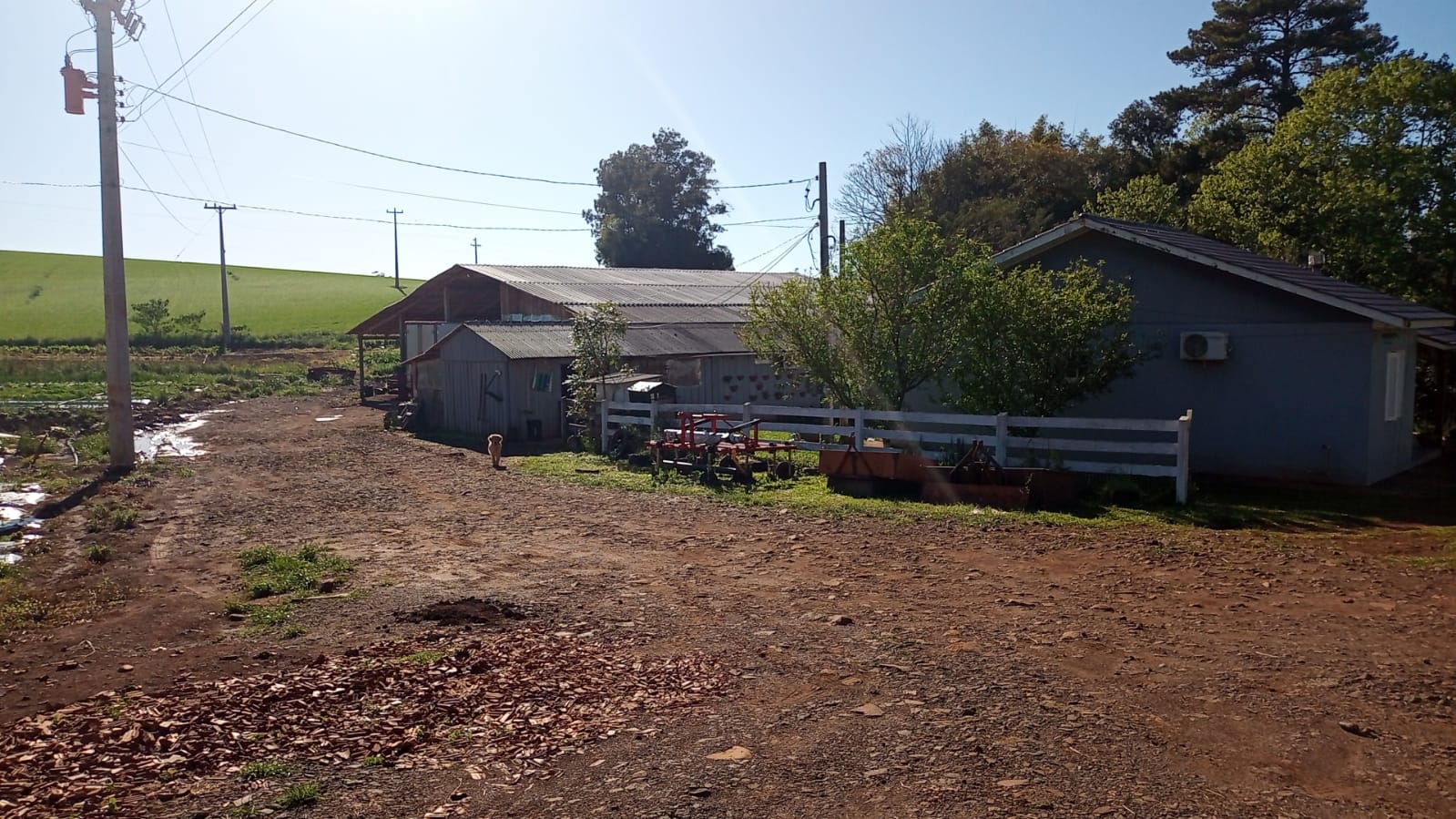 WhatsApp-Image-2026-02-17-at-10.06.21