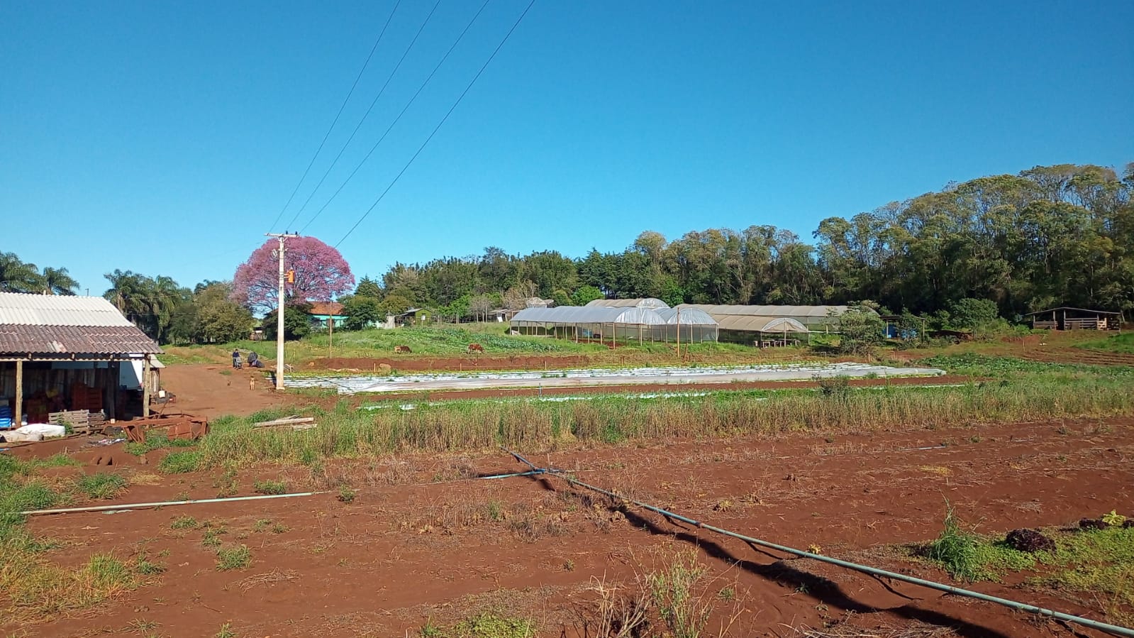 WhatsApp-Image-2026-02-17-at-10.06.22-2