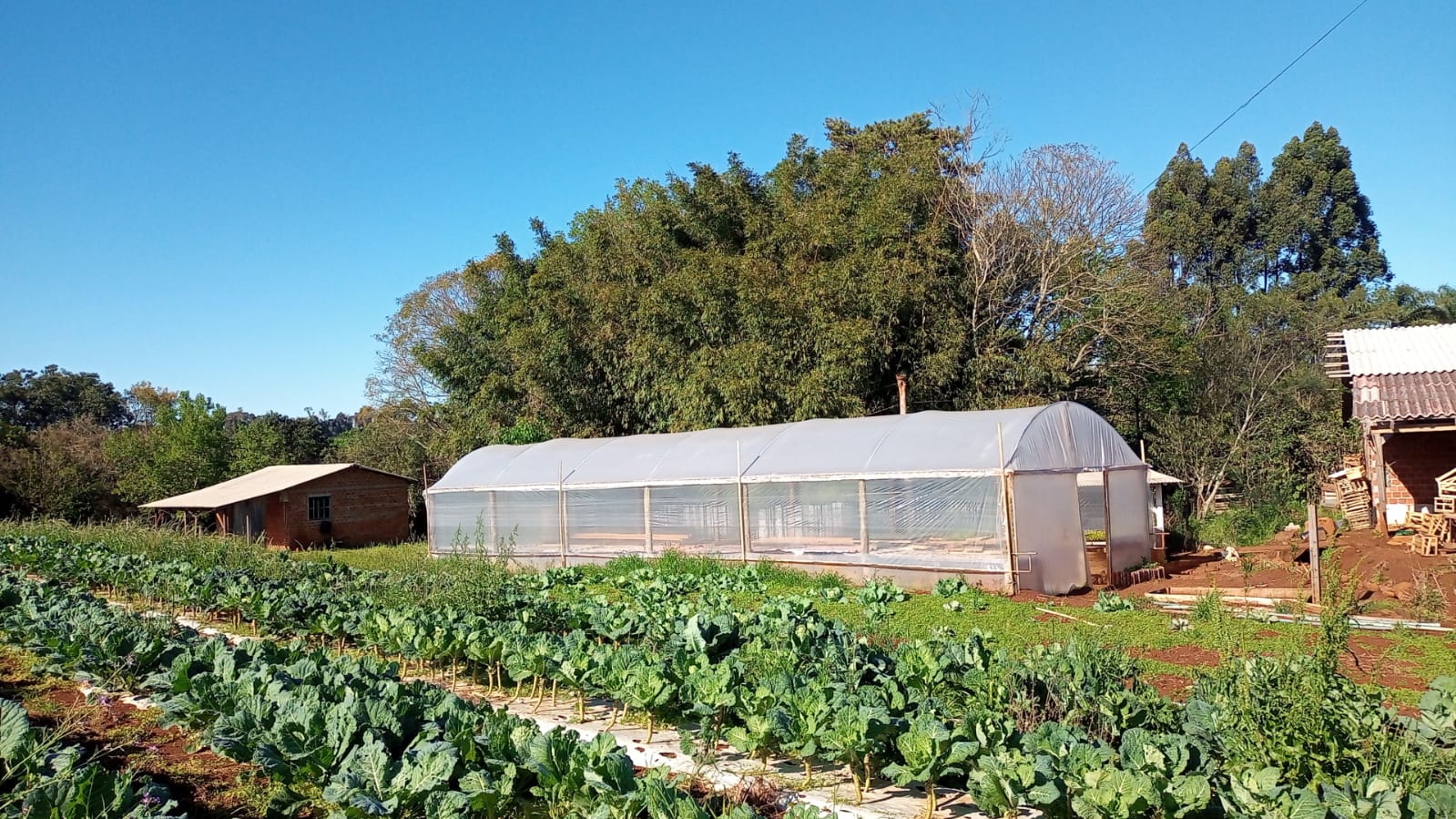 WhatsApp-Image-2026-02-17-at-10.06.22-3