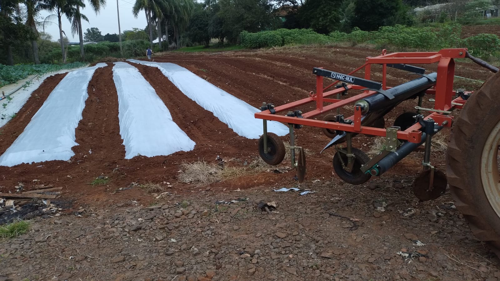 WhatsApp-Image-2026-02-17-at-10.06.22-4