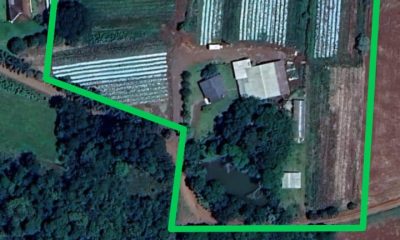 Propriedade rural linha Maranei