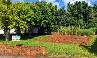 Terreno Plano Ótima localização