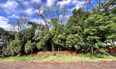 Terreno plano bairro São Jorge