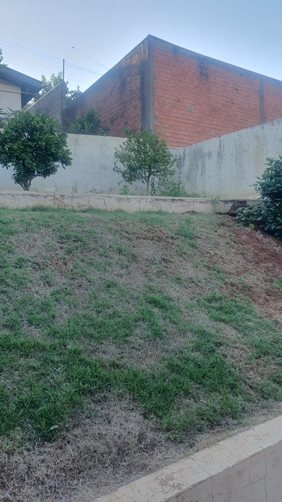 WhatsApp-Image-2026-02-26-at-17.14.46-2